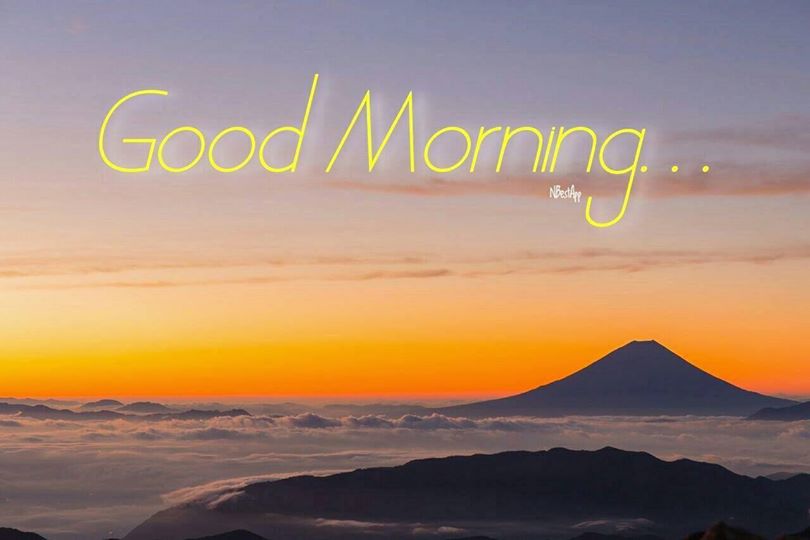 16252291 1769115176744214 8947927439446624334 o