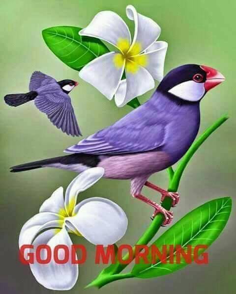 16508773 1774732532849145 7692822344083813756 n