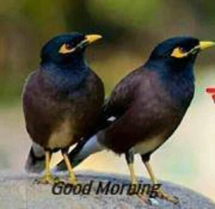 16649578 1777635472558851 8447085320170204489 n copy