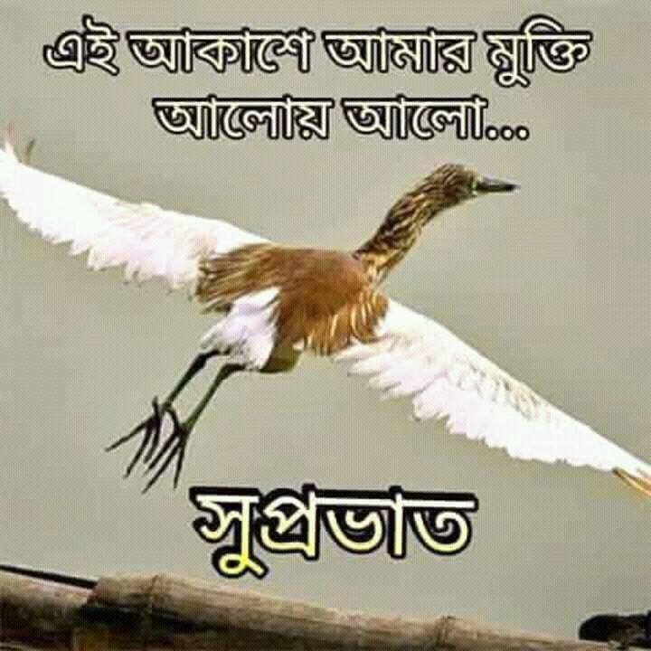 16683884 1776282889360776 4615451769571534818 n