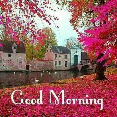 18033059 1816003412055390 3214193269575616422 n